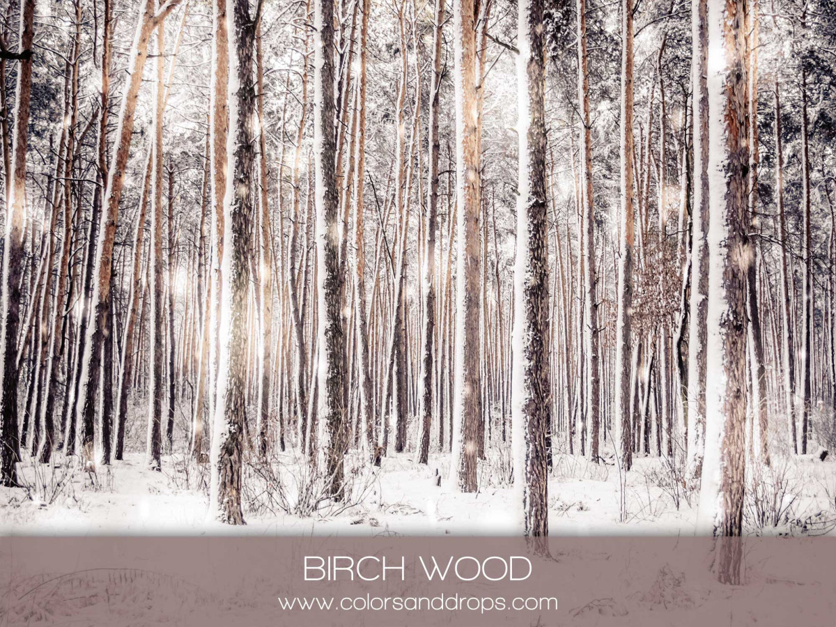 BIRCHWOOD