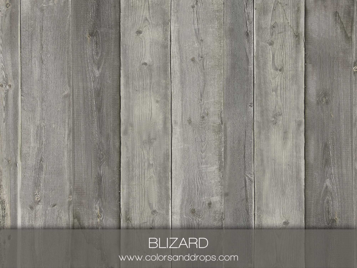 BLIZARD