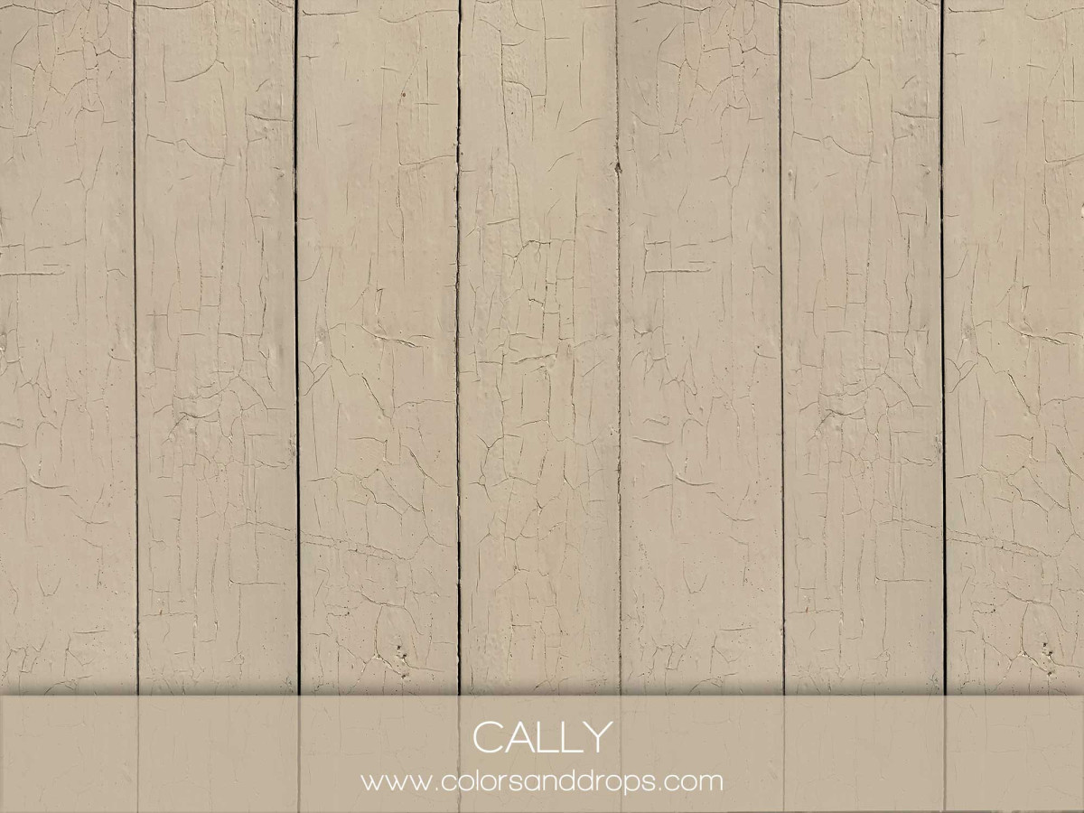 CALLY
