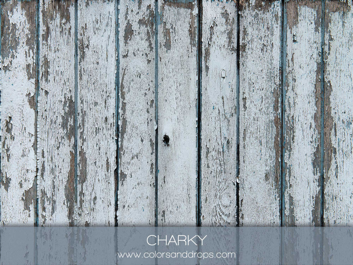 CHARKY