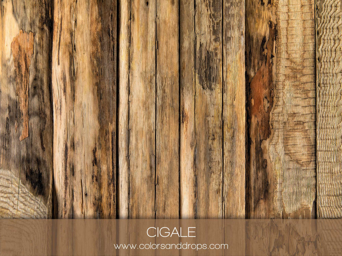 CIGALE
