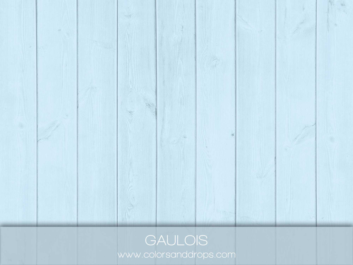 GAULOIS