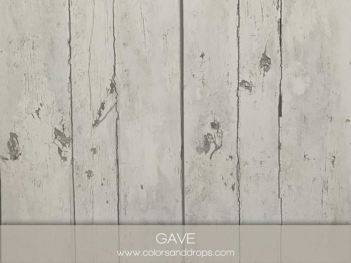 GAVE