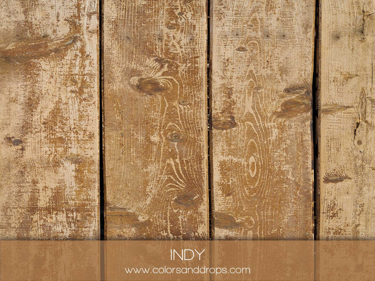 INDY