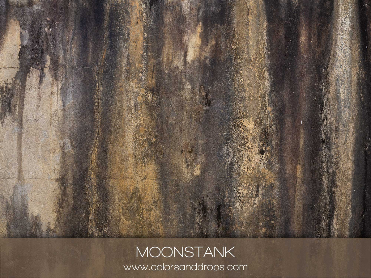 MOONSTANK