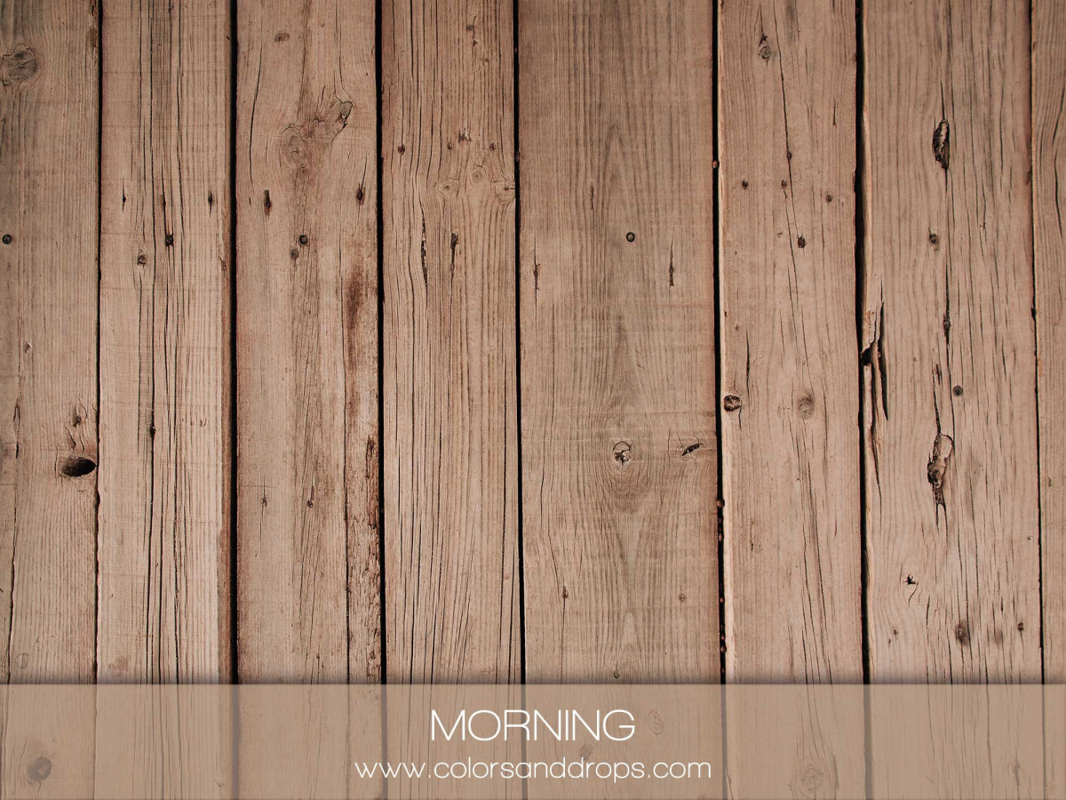 MORNING