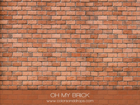 OH MY BRICK