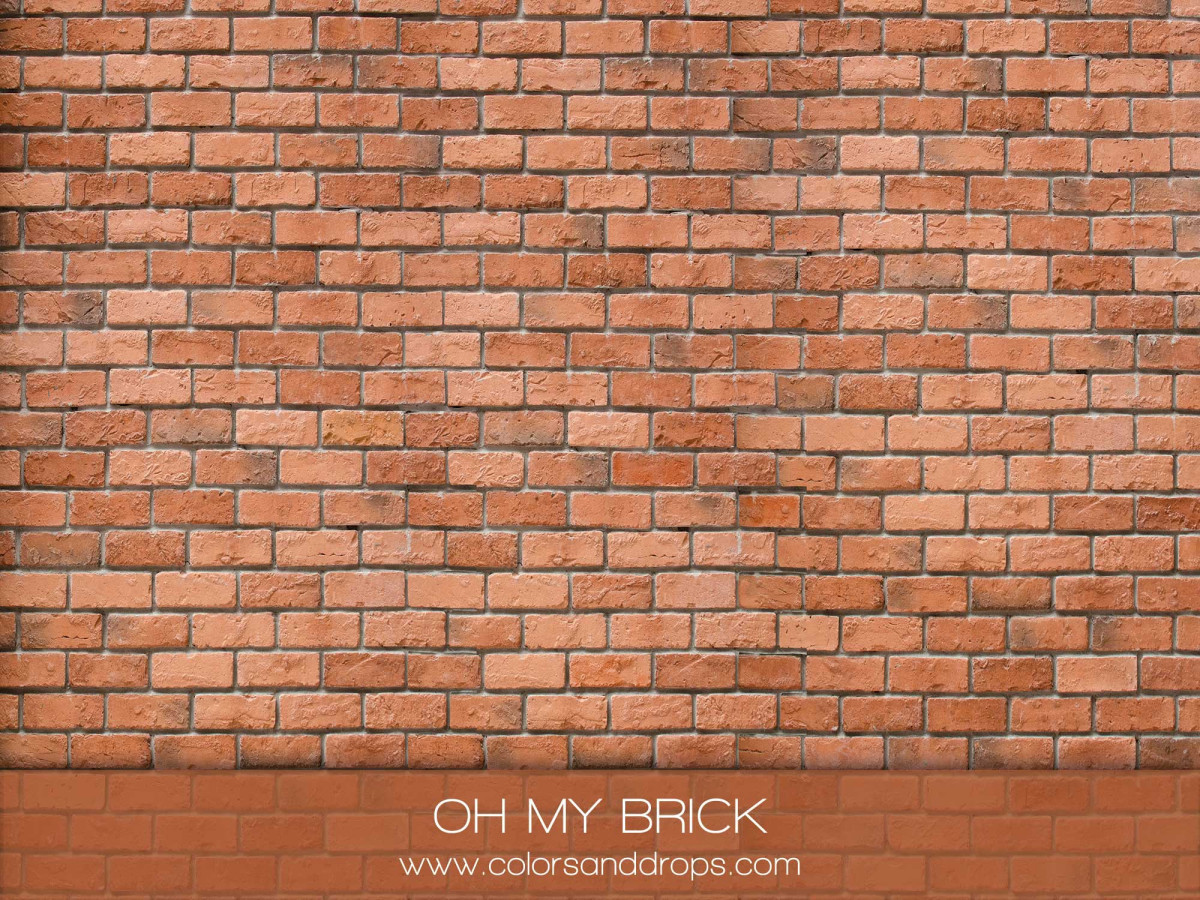 OH MY BRICK
