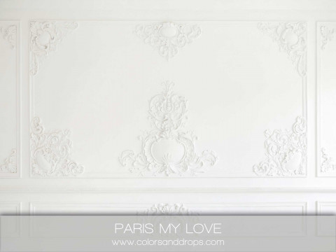 PARIS MY LOVE