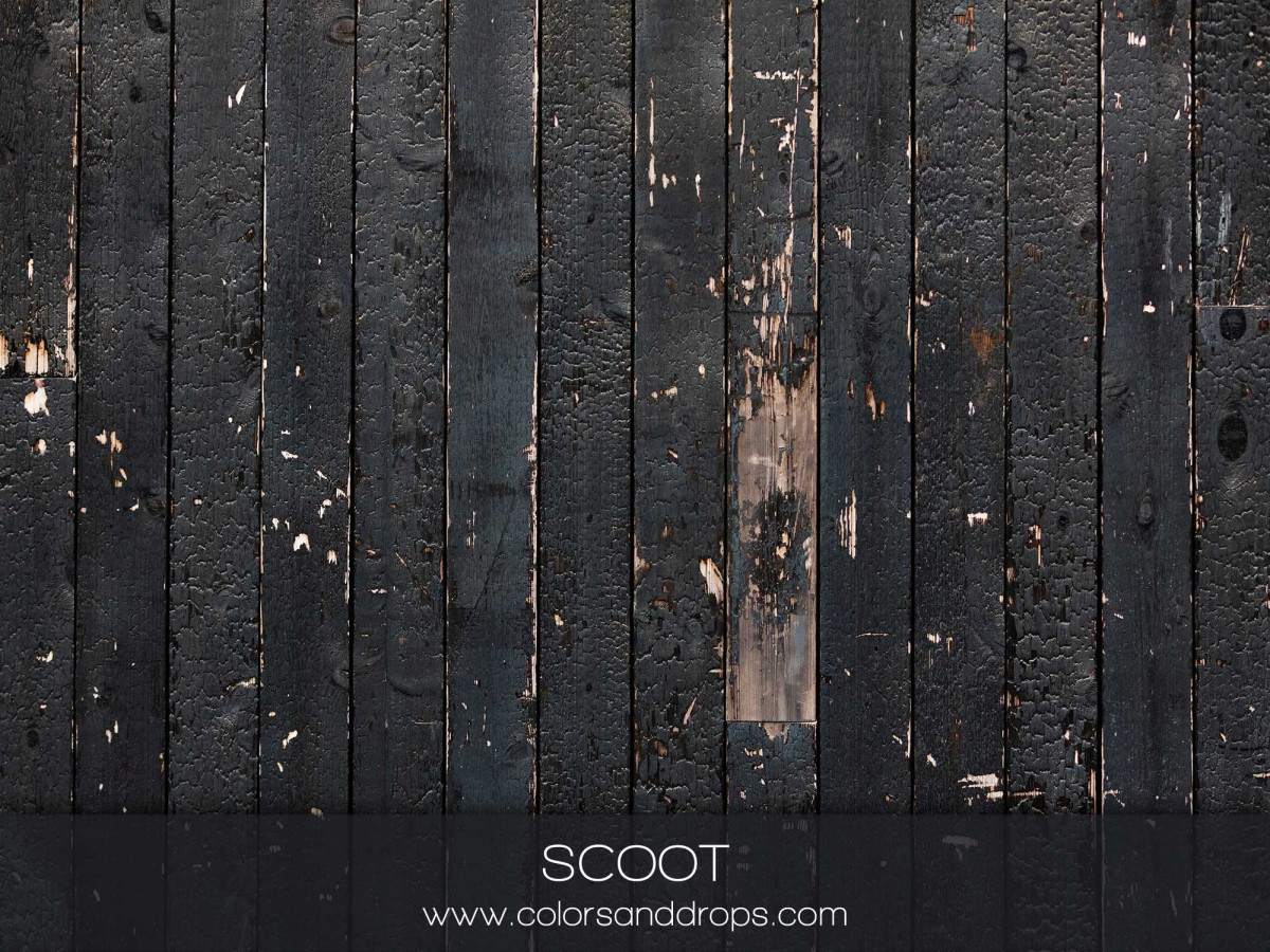 SCOOT