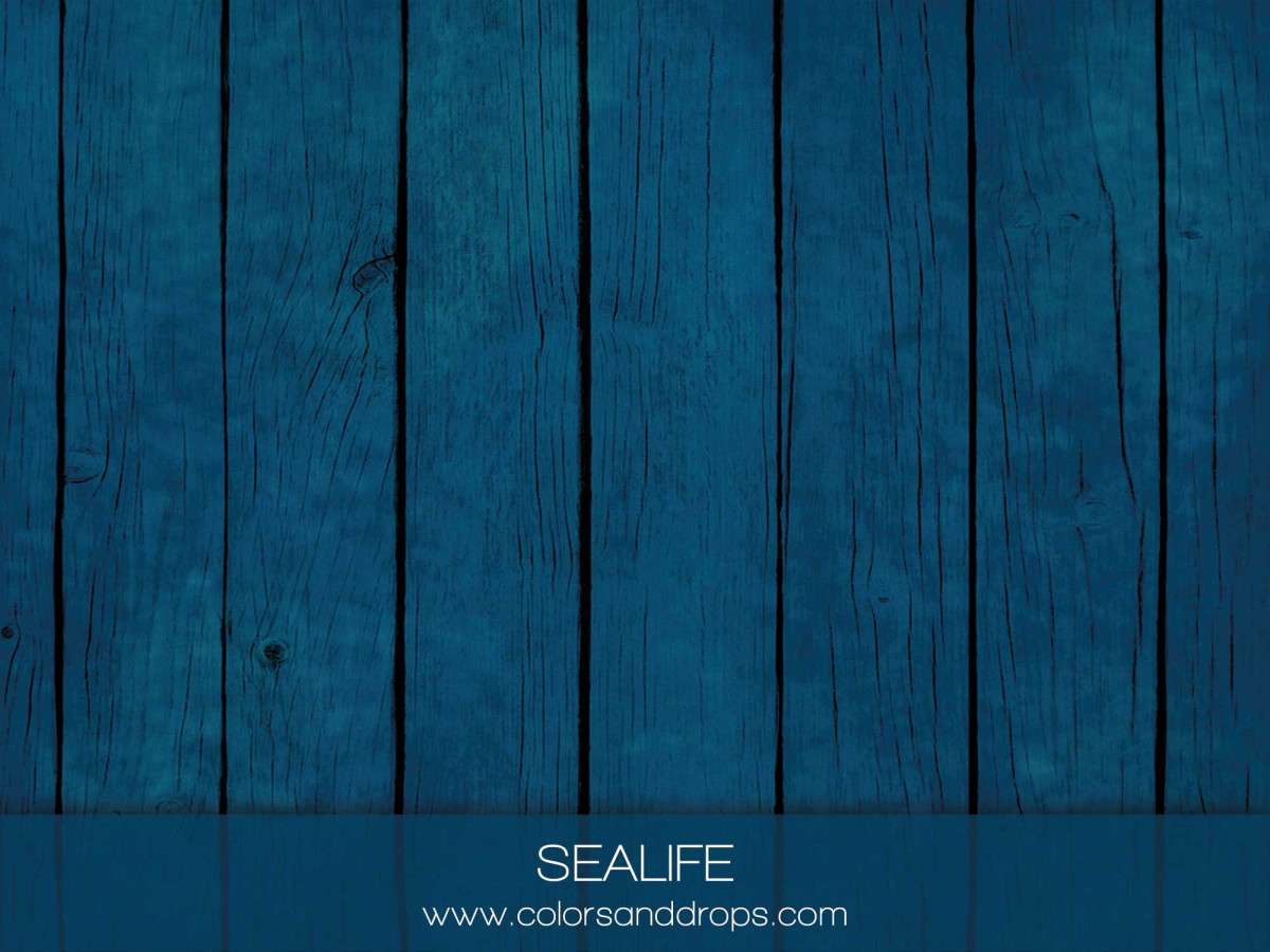 SEALIFE