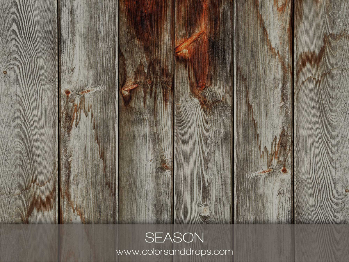 SEASON