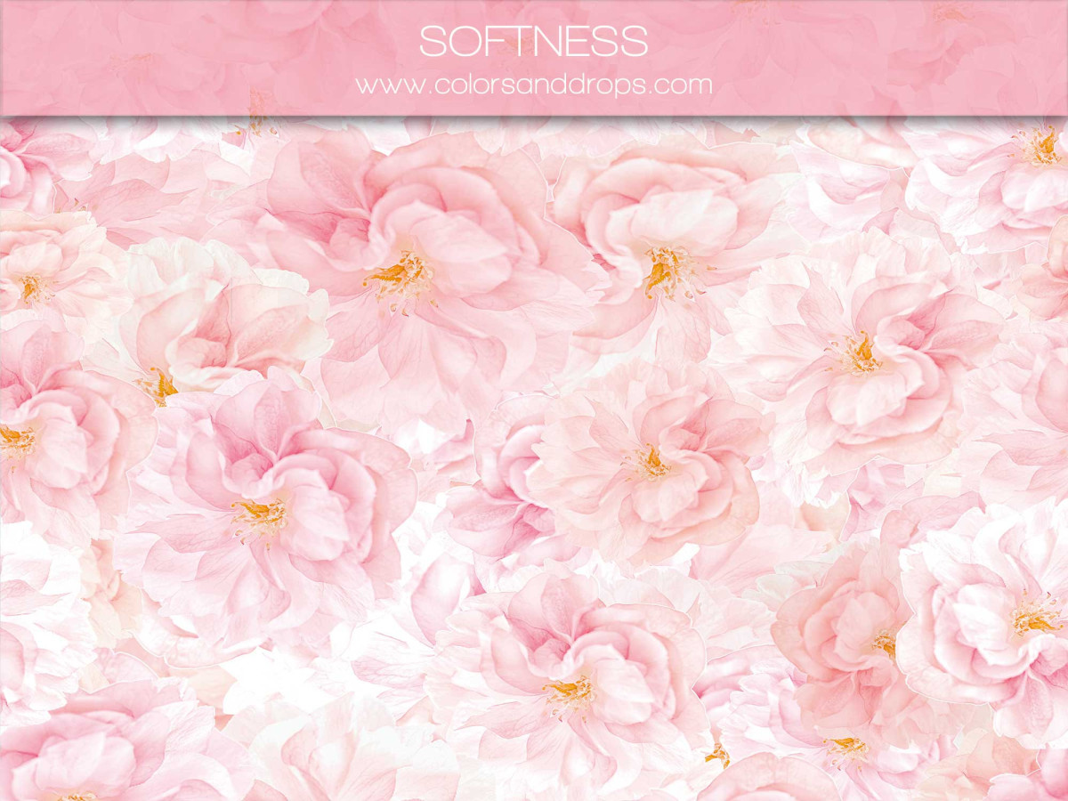 SOFTNESS