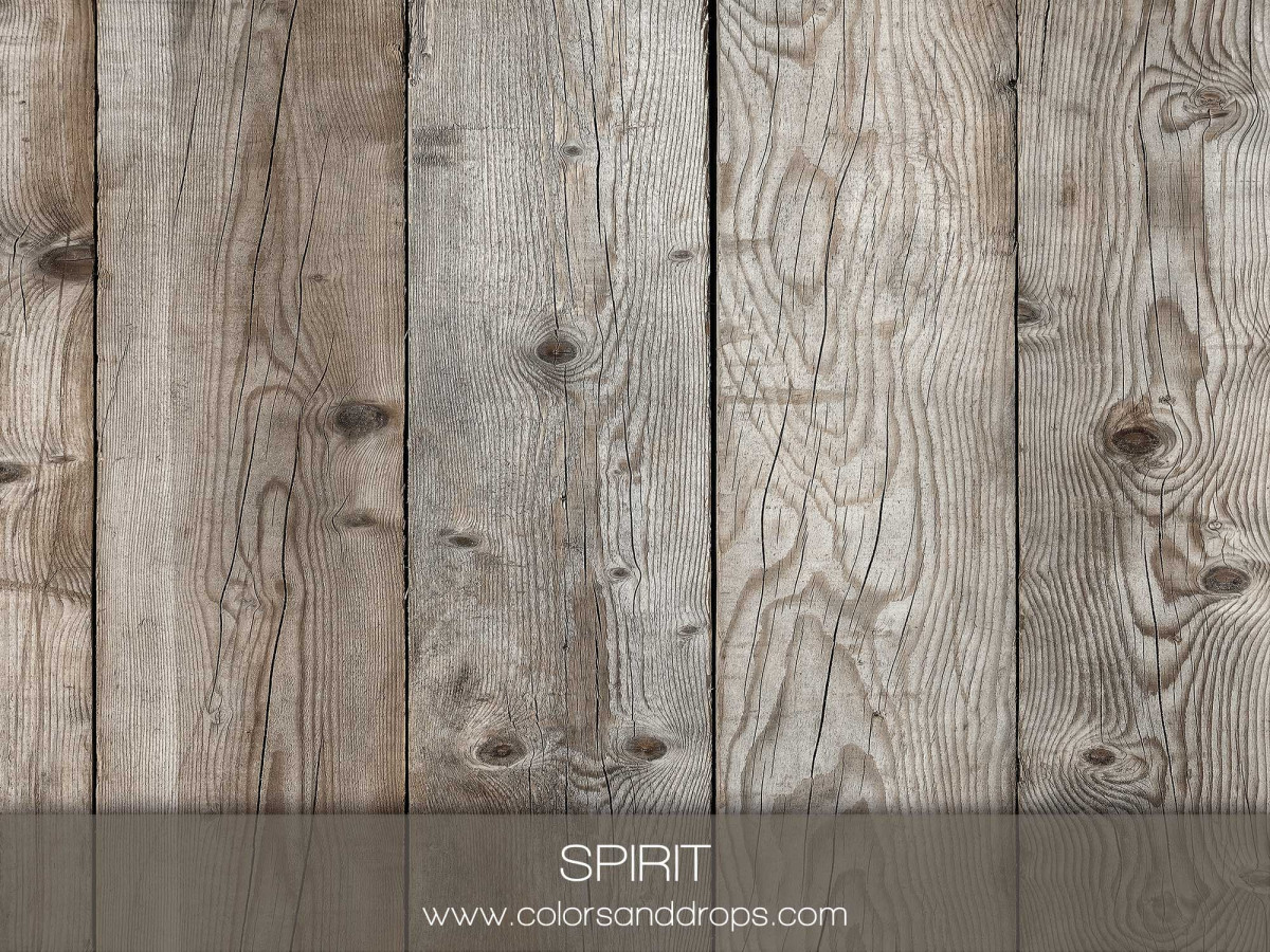 SPIRIT