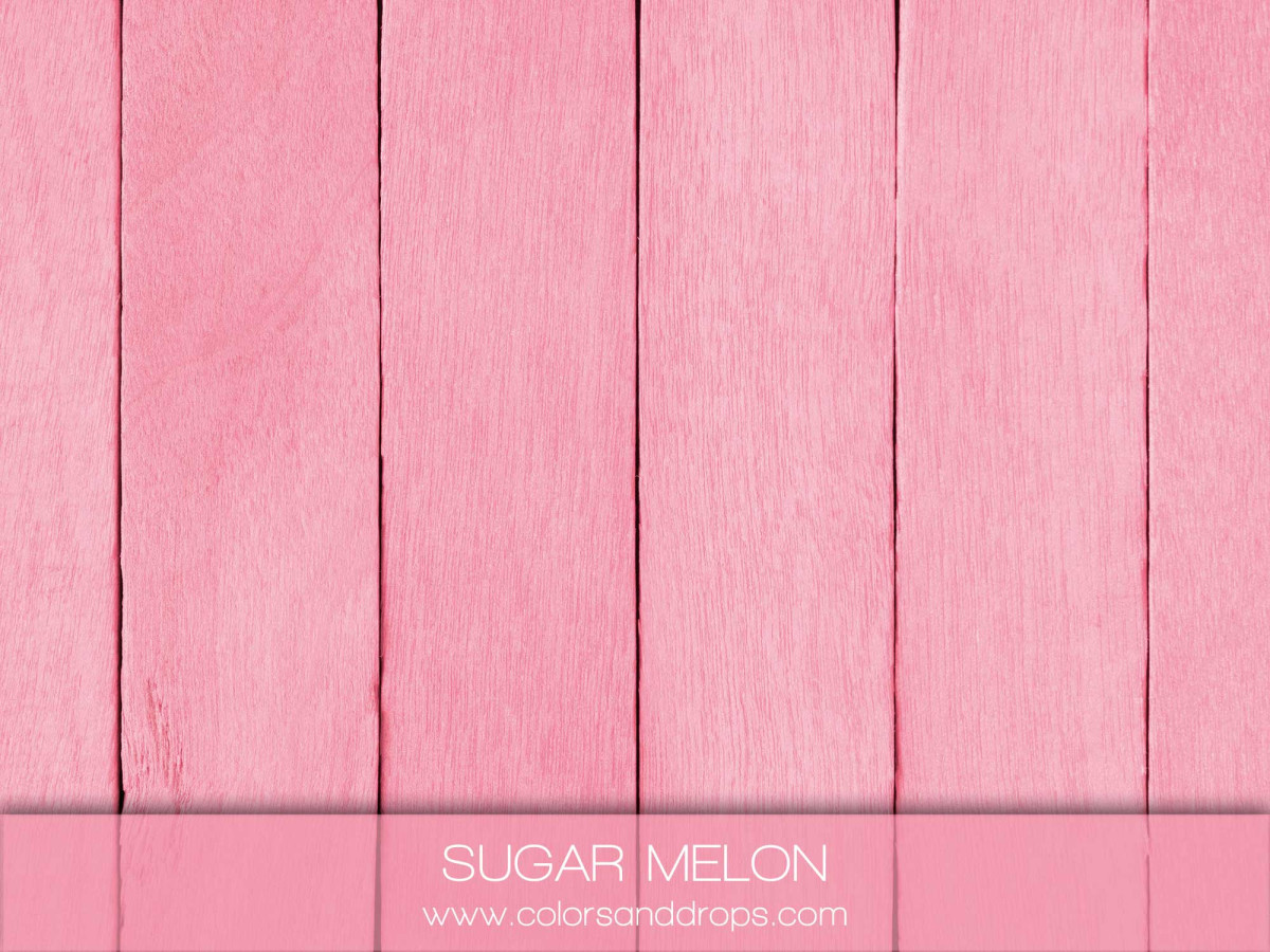 SUGAR MELON