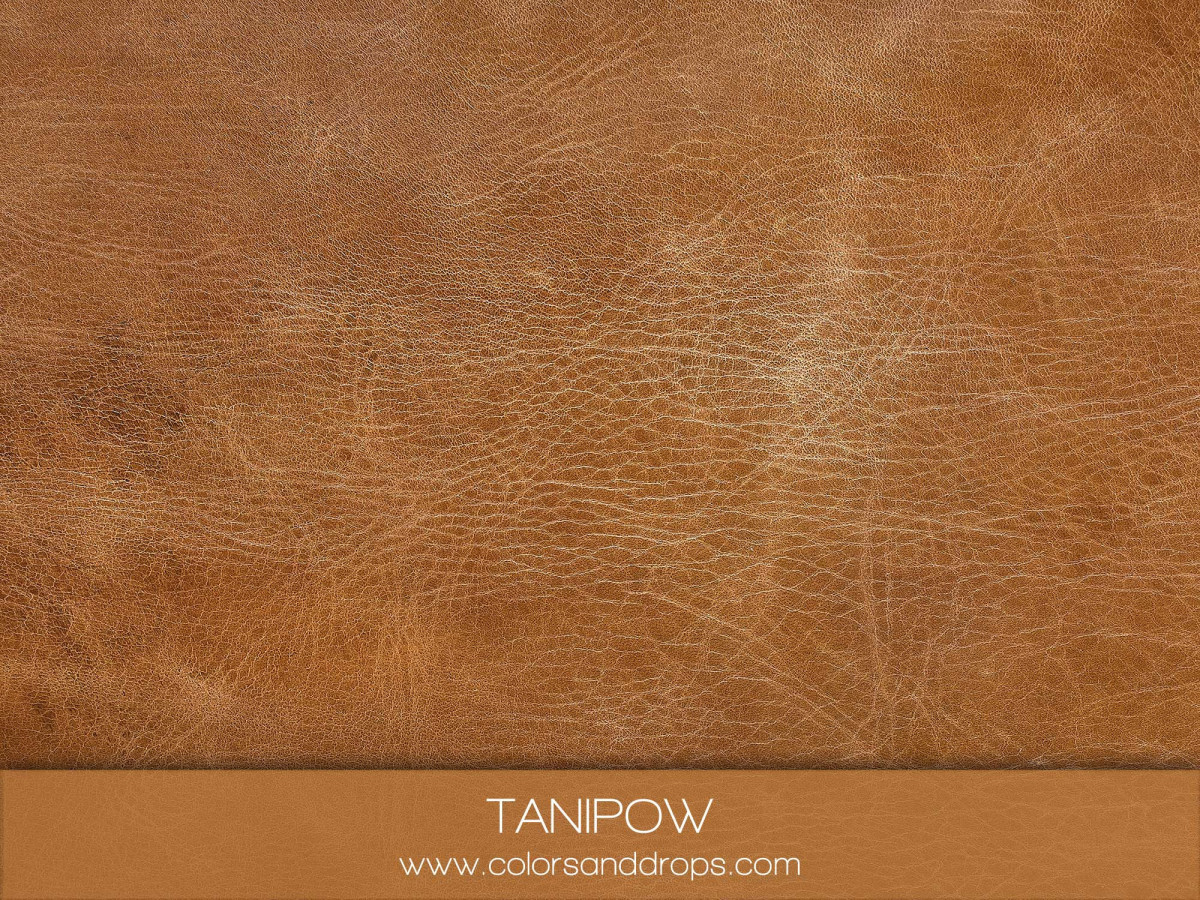 TANIPOW