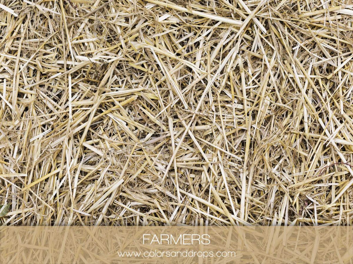 Beige textured photo backdrop & floor Farmers – straw covered floor | Colors&Drops