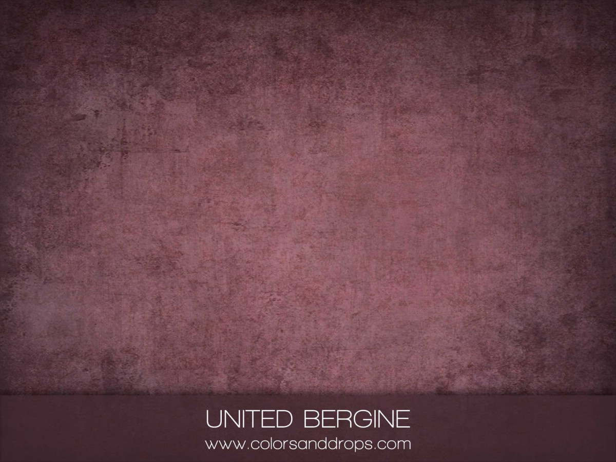 UNITED BERGINE