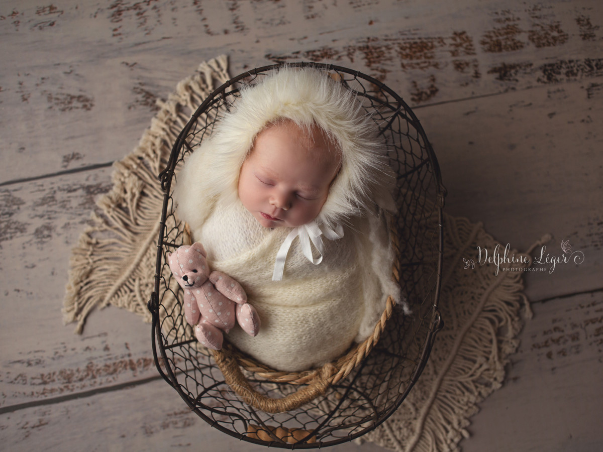 Sol photo Brisby – planches de bois beige usé | Colors&Drops