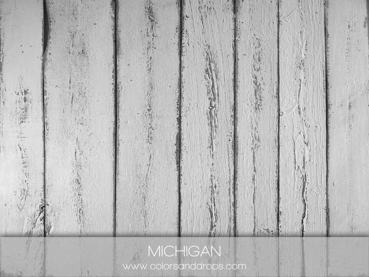 MICHIGAN