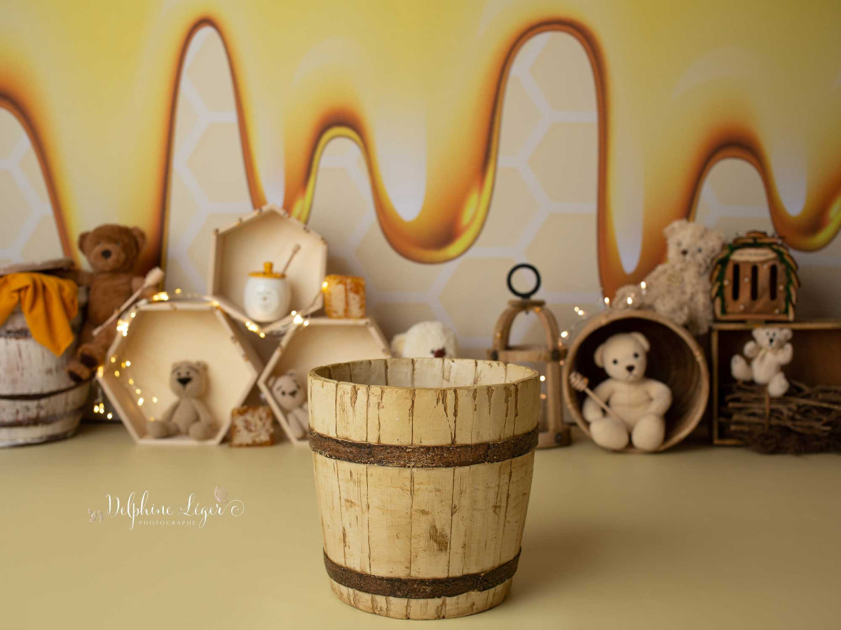 Fond photo bébé et smash cake Honey Bear – décor ours et miel avec étagères hexagonales | Colors&Drops
