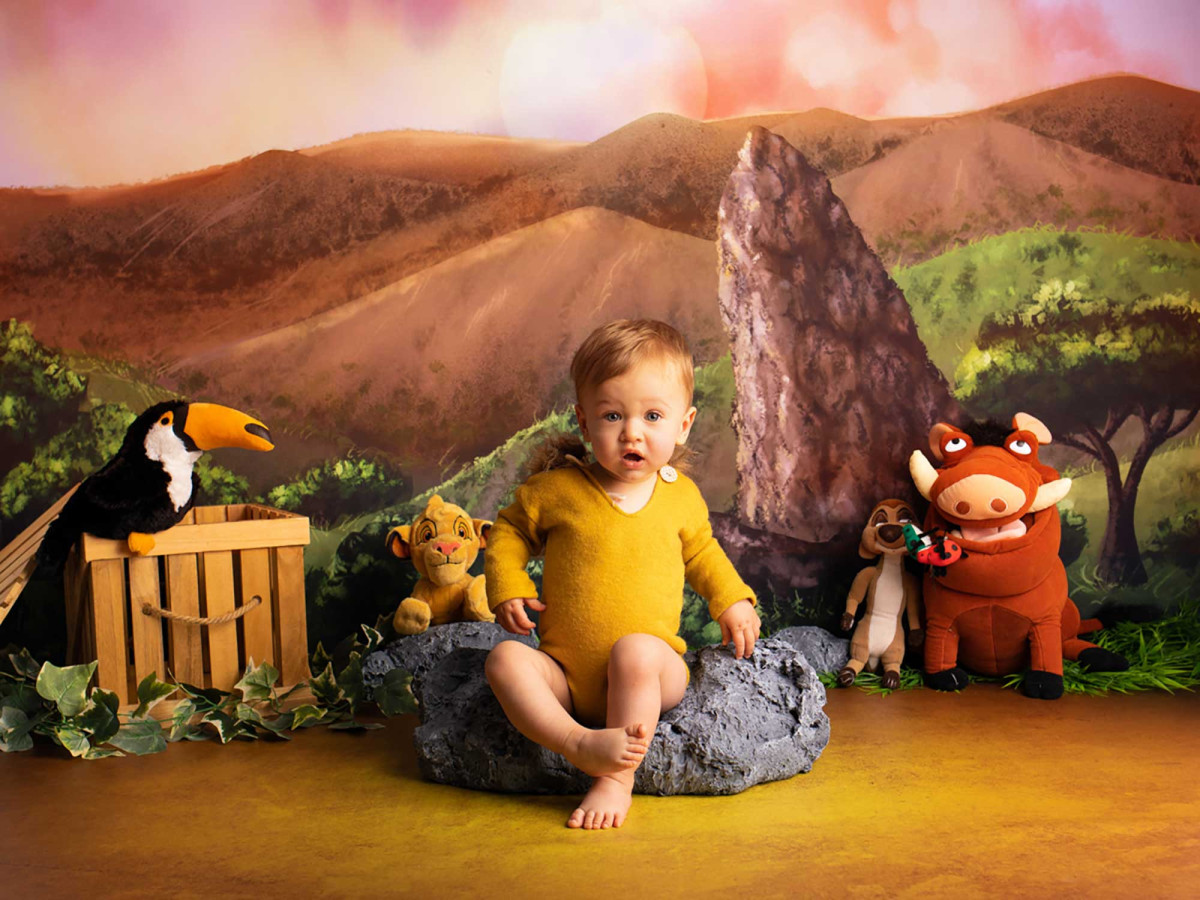 Baby & cake smash photo backdrop King – savanna landscape with rock and hills | Colors&Drops
