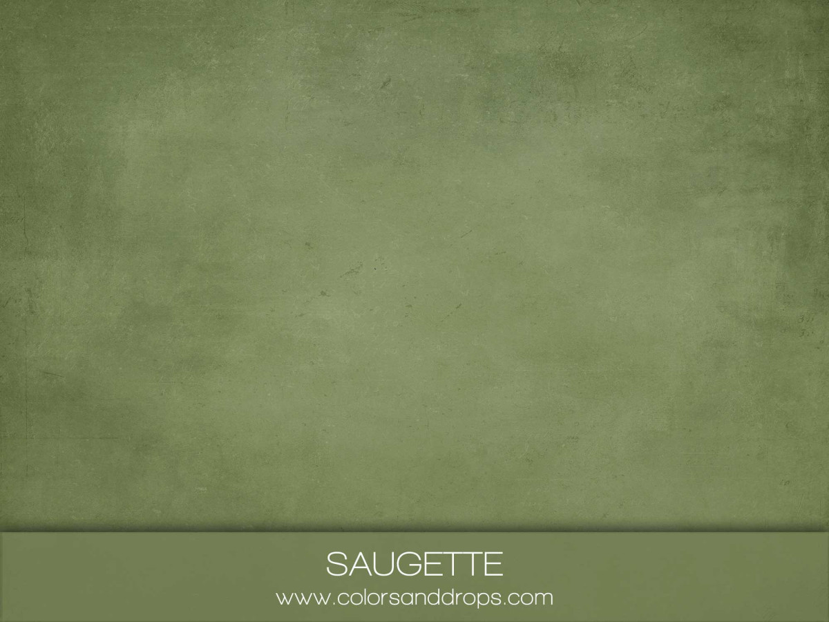Fondo y suelo fotográficos verde salvia texturizados Saugette – textura efecto pintura verde salvia oscuro | Colors&Drops
