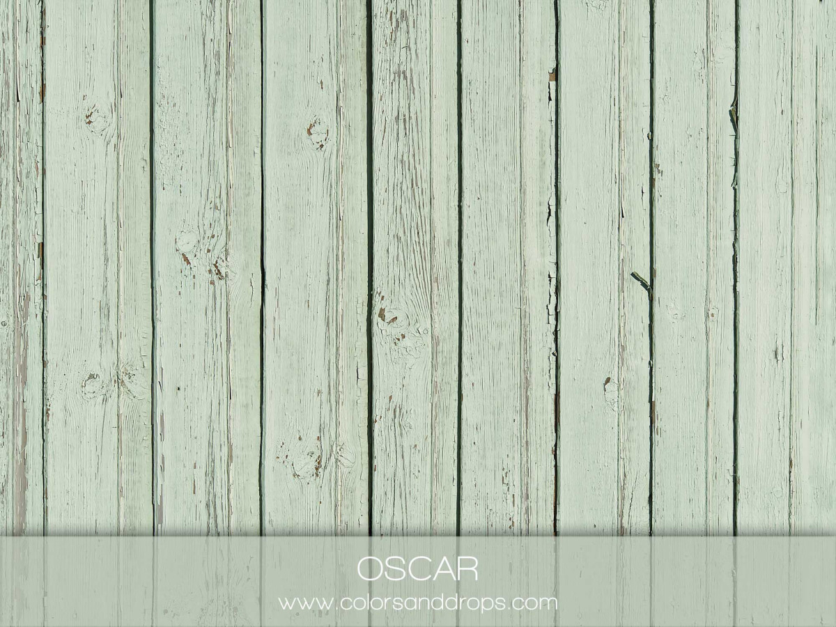 Sol photo Oscar – planches de bois vert d'eau pâle | Colors&Drops