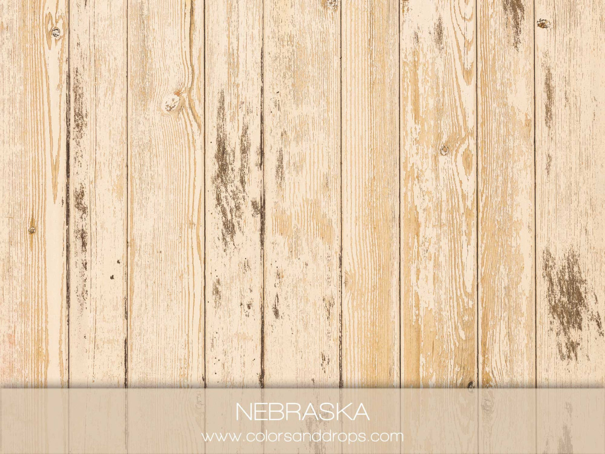 Suelo fotográfico Nebraska – tablones de madera beige claro gastada | Colors&Drops