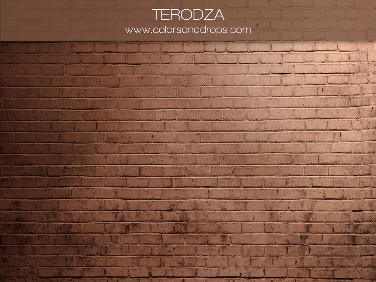 Fondo fotográfico marrón cobrizo texturizado Terodza – pared de ladrillo marrón cobrizo iluminada | Colors&Drops