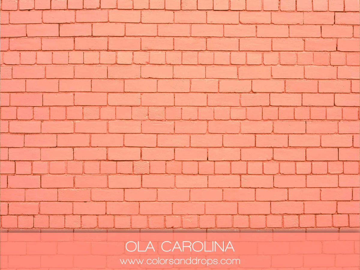 Fondo y suelo fotográficos coral texturizados Ola Carolina – pared de ladrillo pintado coral | Colors&Drops