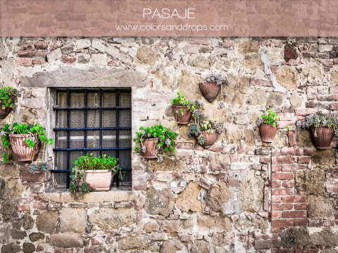 Fond photo Pasaje – mur en pierre avec fenêtre grillagée et pots de fleurs | Colors&Drops