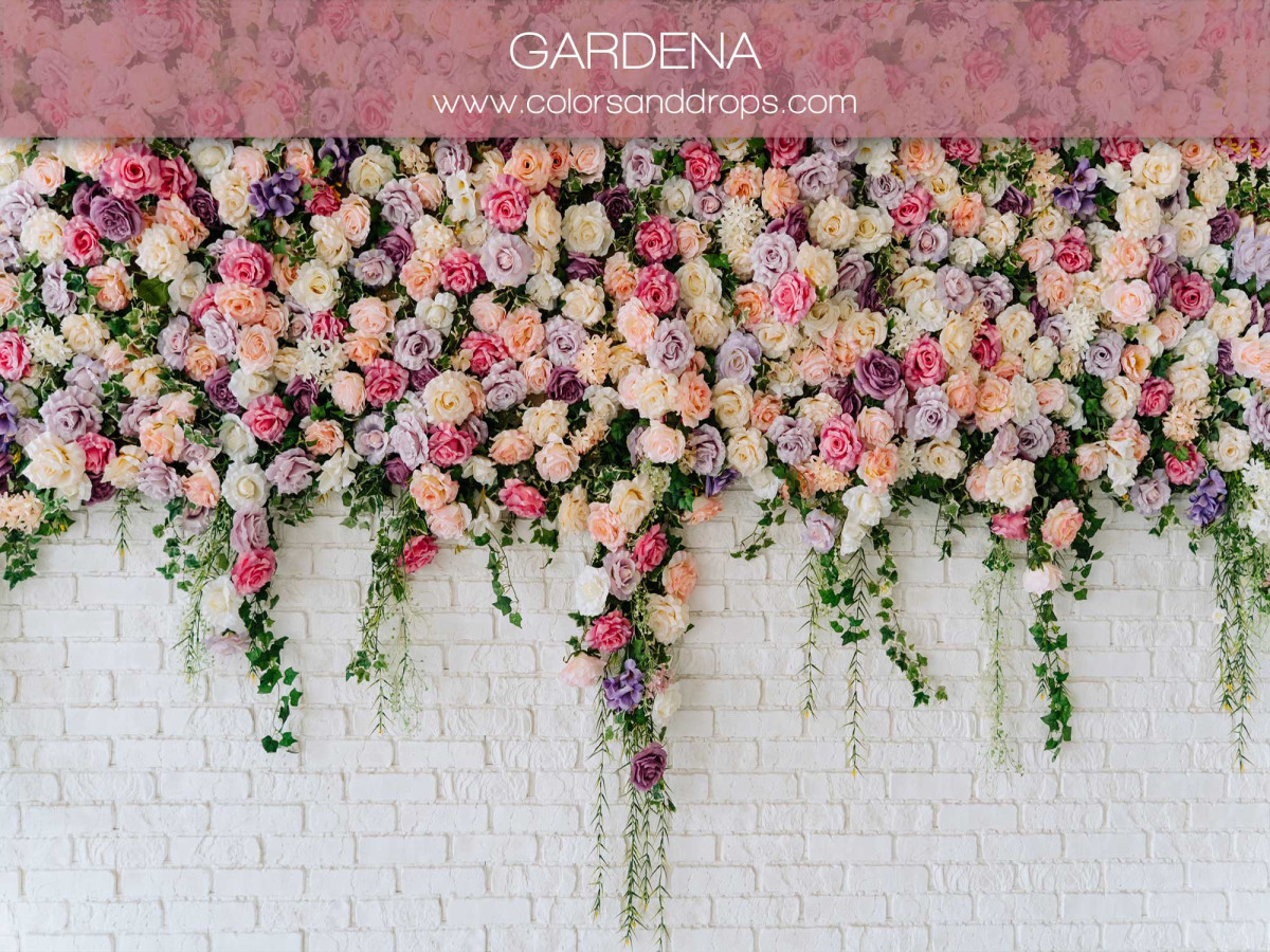 Fond photo grossesse et portrait Gardena – mur de fleurs tombant sur mur en brique blanche | Colors&Drops