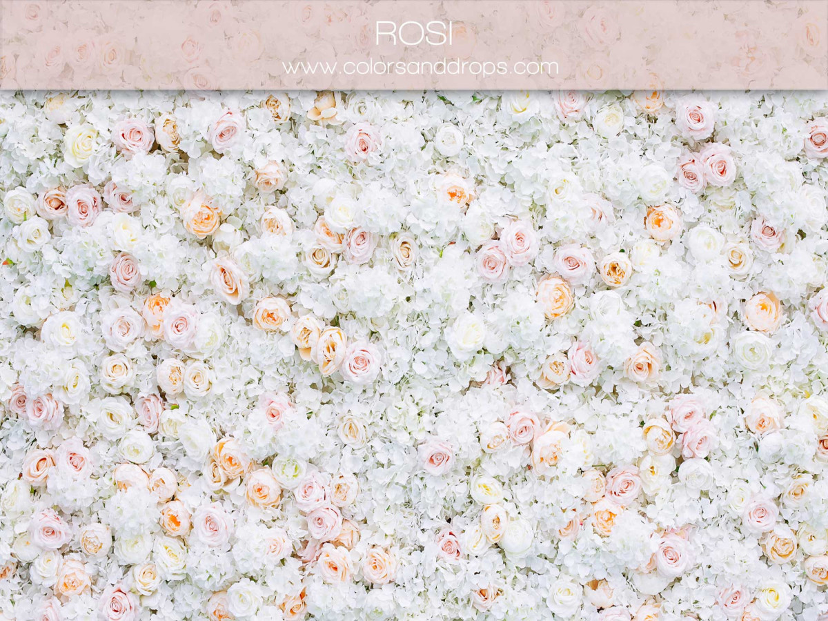 Fondo fotográfico de embarazo y retrato Rosi – pared de flores blancas y rosa pálido | Colors&Drops