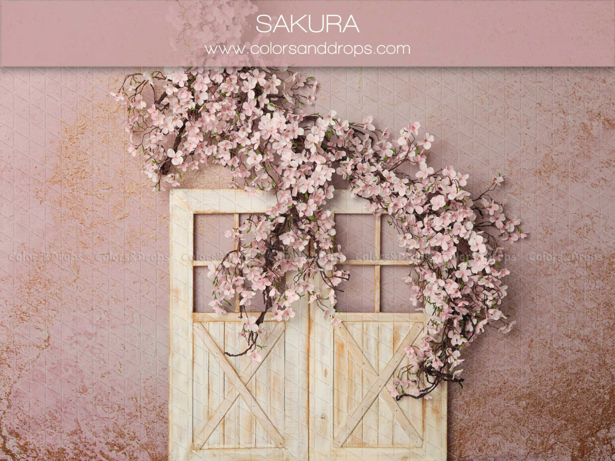 Fondo fotográfico de bebé y smash cake Sakura – puerta de madera blanca con cerezo en flor | Colors&Drops