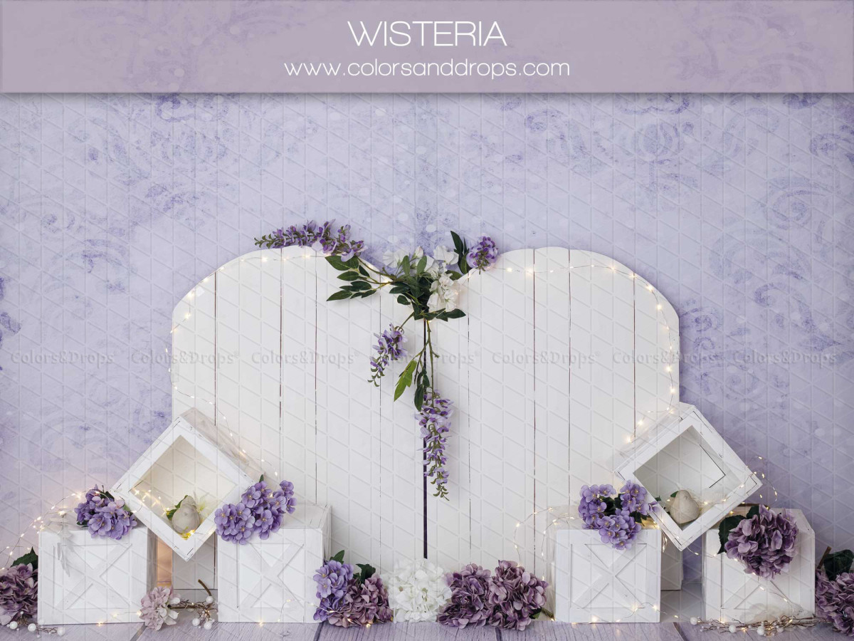 Fond photo bébé et smash cake Wisteria – portes blanches avec glycine et cubes sur fond lilas | Colors&Drops