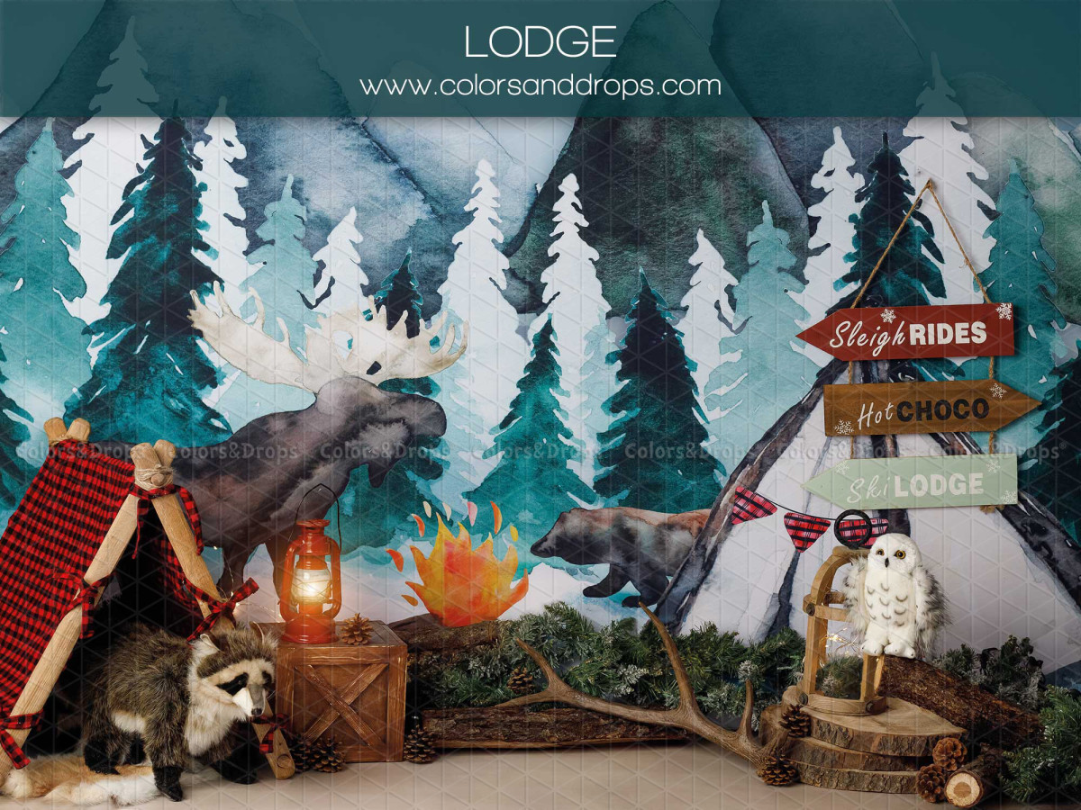 Fond photo bébé et smash cake Lodge – décor camping forestier avec élan, tente et feu de camp | Colors&Drops