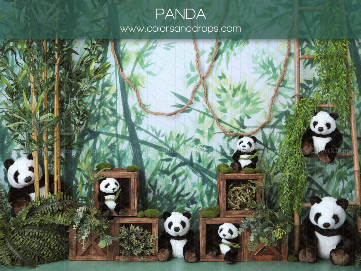 Fondo fotográfico de bebé y smash cake Panda – bosque de bambú con pandas y cajas | Colors&Drops