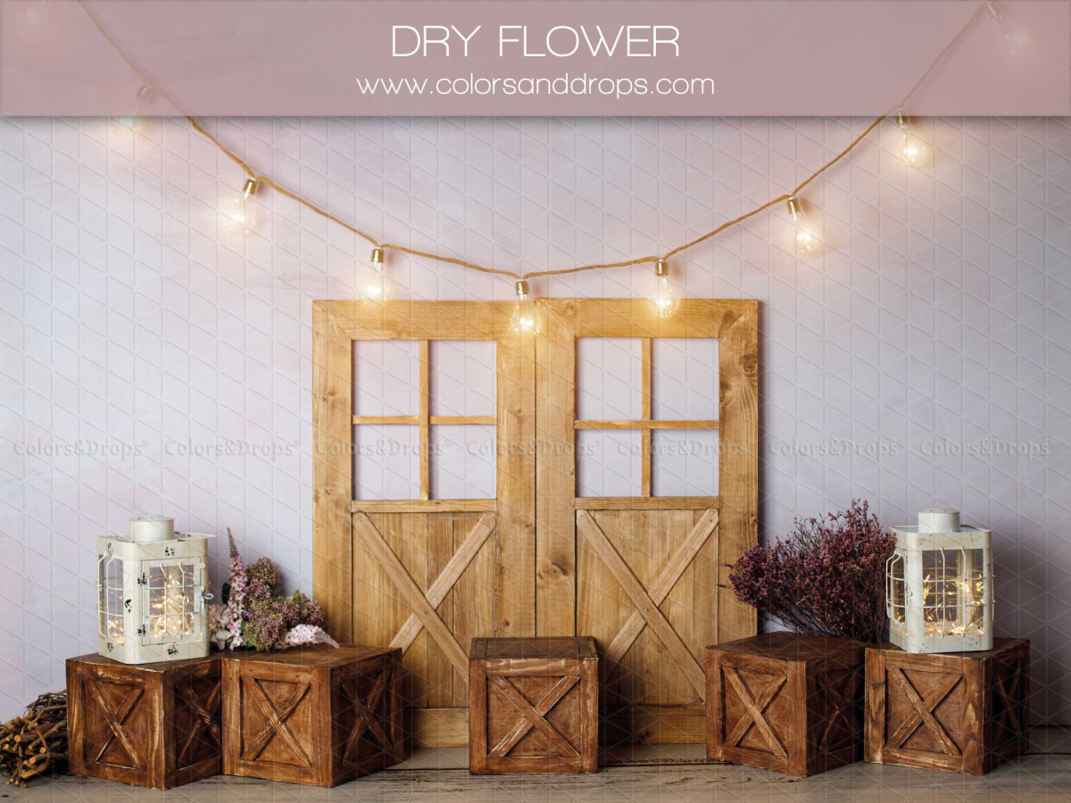 Fondo fotográfico de bebé y smash cake Dry Flower – puertas de madera con flores secas y guirnalda de luces | Colors&Drops