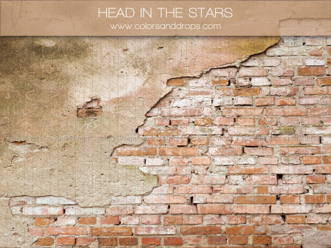 Fondo fotográfico Head in the Stars – pared de ladrillo con enlucido desconchado | Colors&Drops