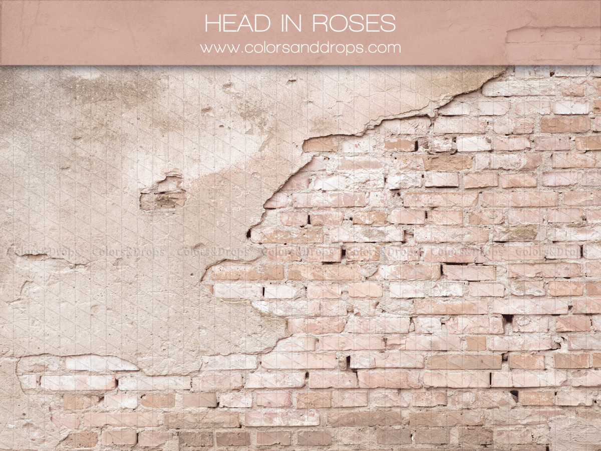 Photo backdrop Head in Roses – brick wall with crumbling pink plaster | Colors&Drops