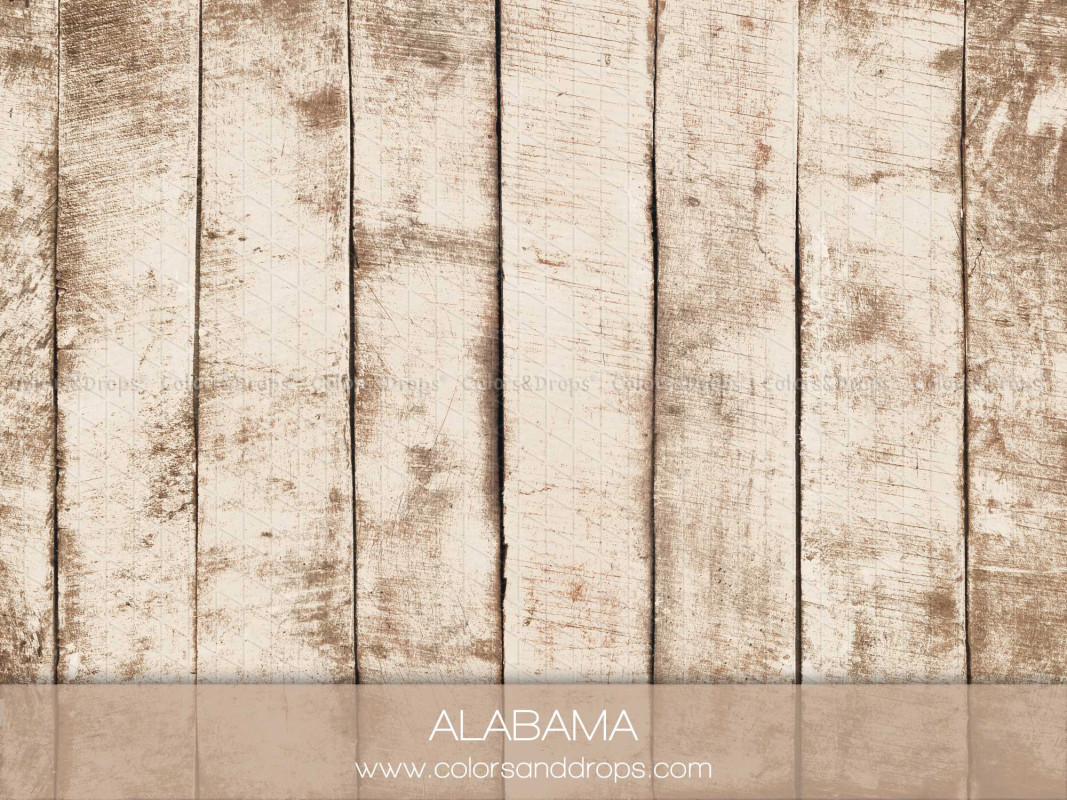 Food photography backdrop Alabama