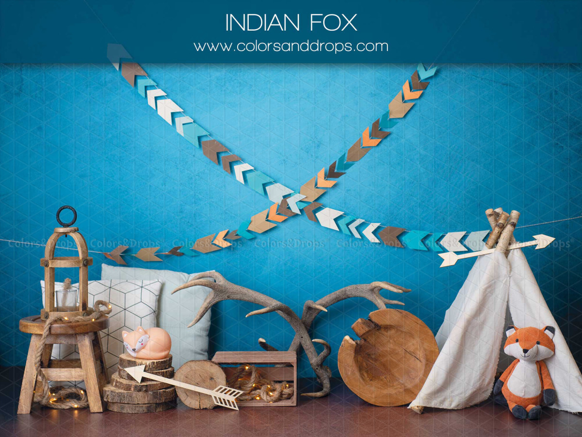 Fond photo bébé et smash cake Indian Fox – décor bohème avec tipi, renard et flèches | Colors&Drops
