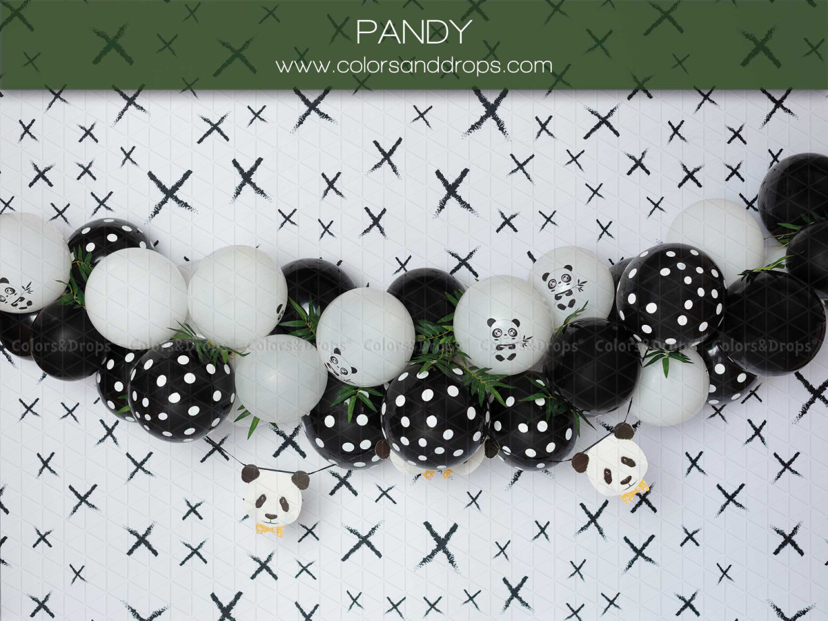Fondo fotográfico de bebé y smash cake Pandy – guirnalda de globos blancos y negros con pandas | Colors&Drops