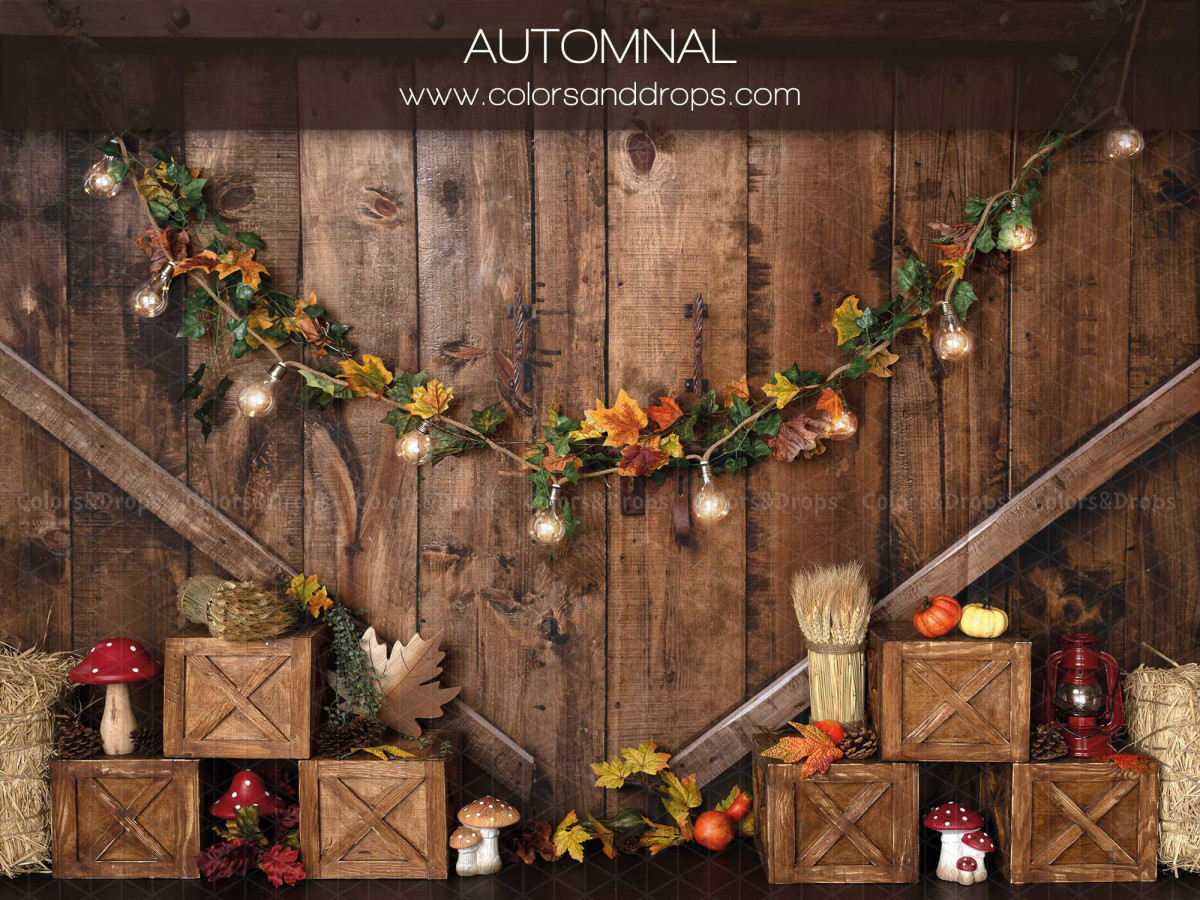 Fond photo bébé et smash cake Automnal – décor d'automne avec guirlande de feuilles et caisses | Colors&Drops