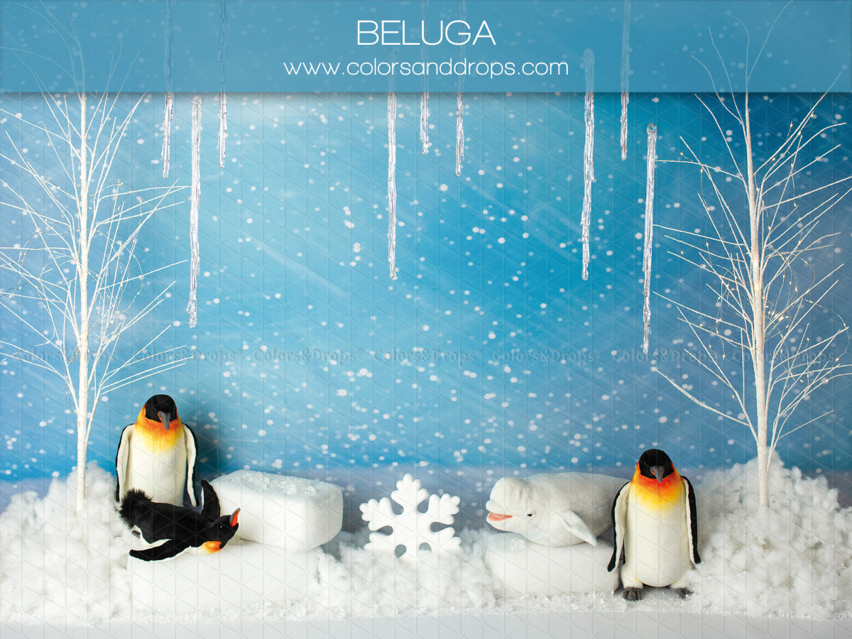 Fond photo bébé et smash cake Beluga – banquise avec pingouins et bouleaux givrés | Colors&Drops