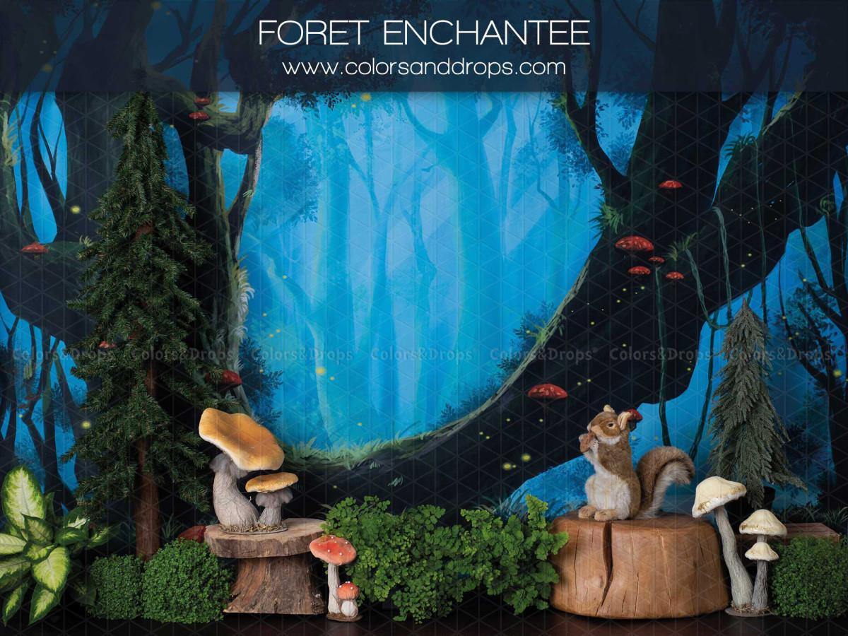 Fond photo bébé et smash cake Foret Enchantee – forêt enchantée avec écureuil et champignons | Colors&Drops