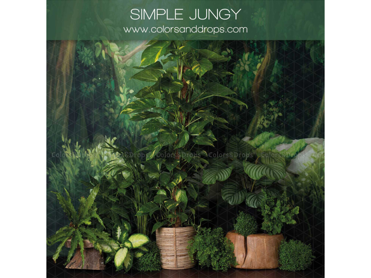 Fond photo latéral de Noël Simple Jungy – jungle luxuriante avec plantes en paniers | Colors&Drops