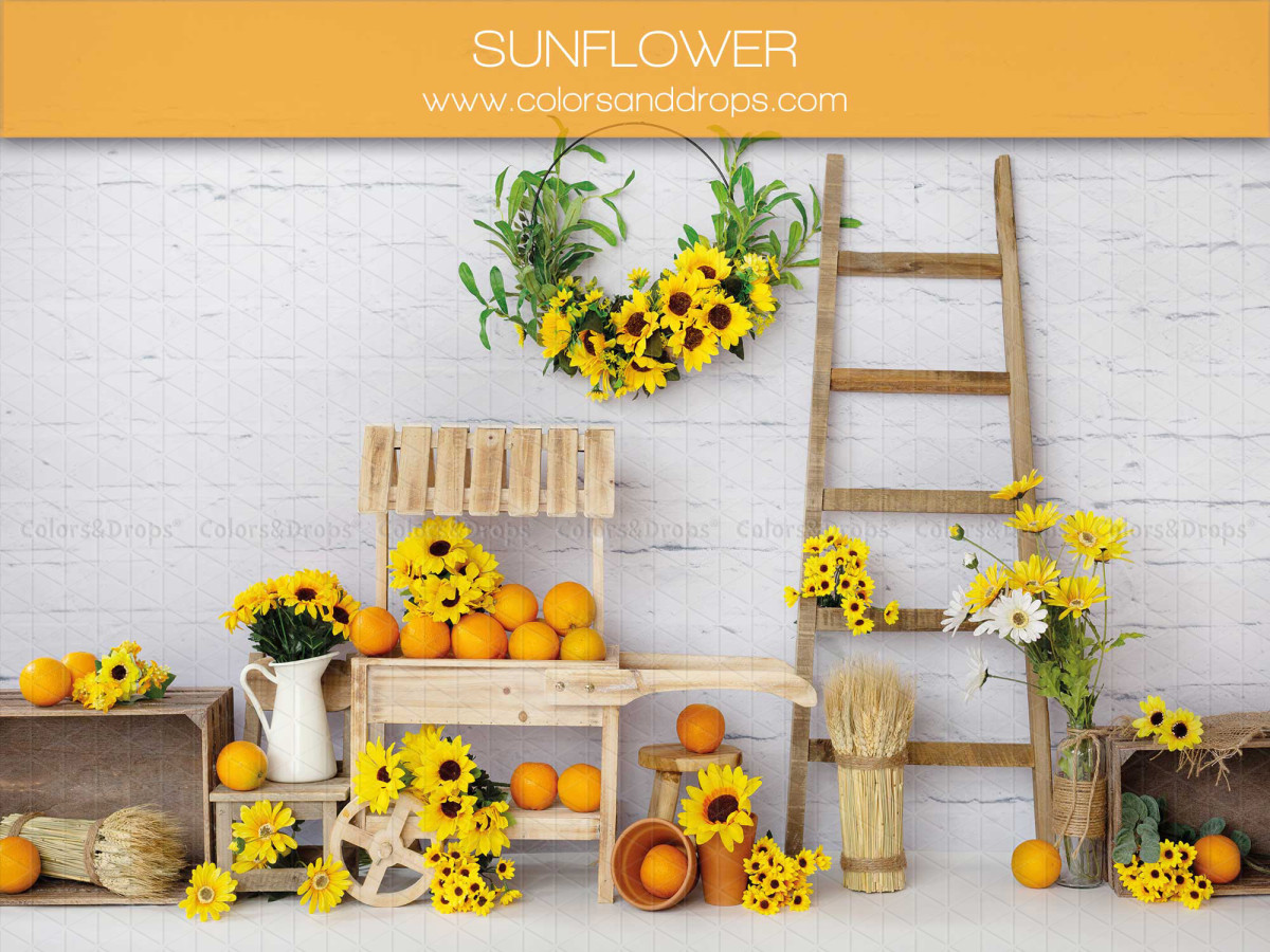 Fond photo bébé et smash cake Sunflowers – décor tournesols avec échelle et caisses en bois | Colors&Drops
