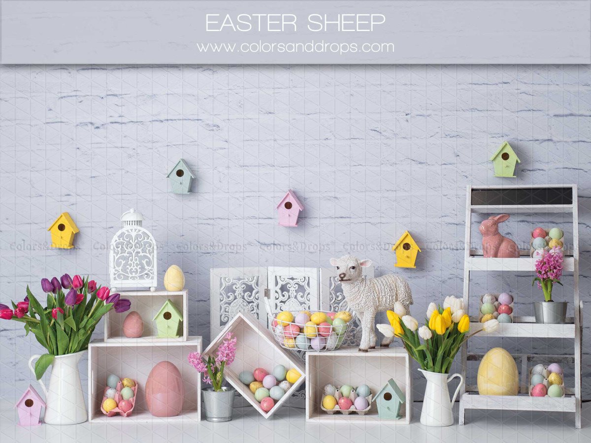 Fond photo Easter Sheep – décor de Pâques avec tulipes, œufs et nichoirs | Colors&Drops